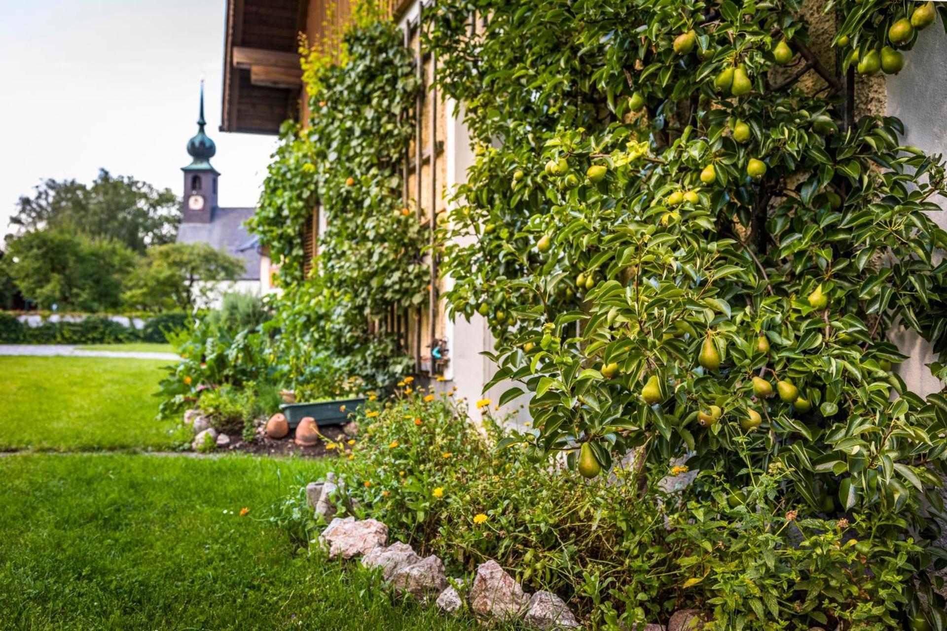 Landhaus Appartement Seidenwebergut Anif Bei Salzburg Niederalm Exteriör bild